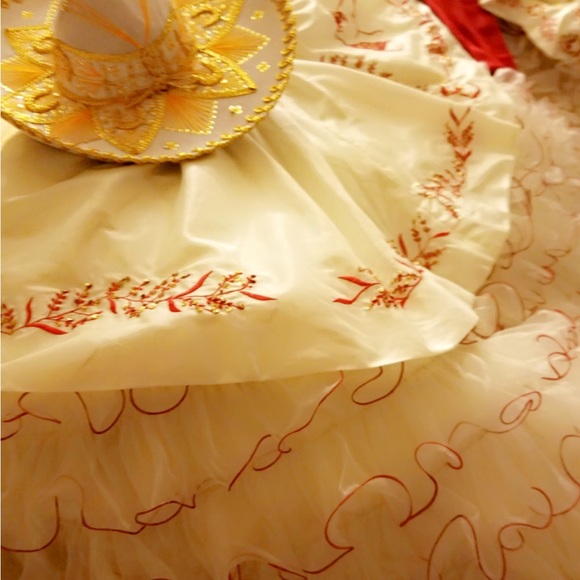 Quinceañera Dress Custom Made in Mexico - Picture 6 of 12